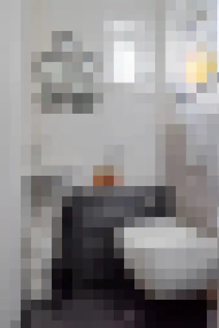 Wildhage 16 Teteringen thumbnail 24