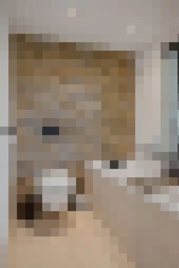 Wildhage 16 Teteringen thumbnail 33