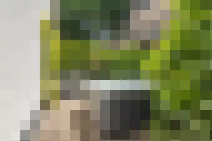 Wildhage 16 Teteringen thumbnail 44
