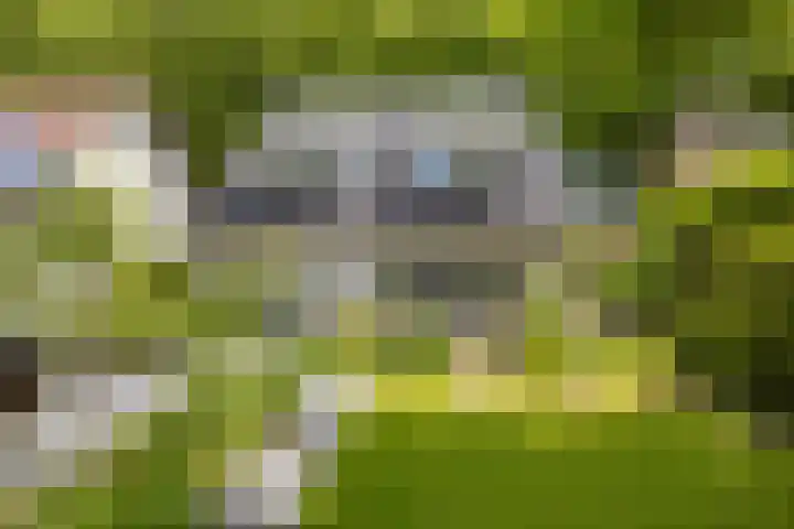 Wildhage 16 Teteringen thumbnail 48