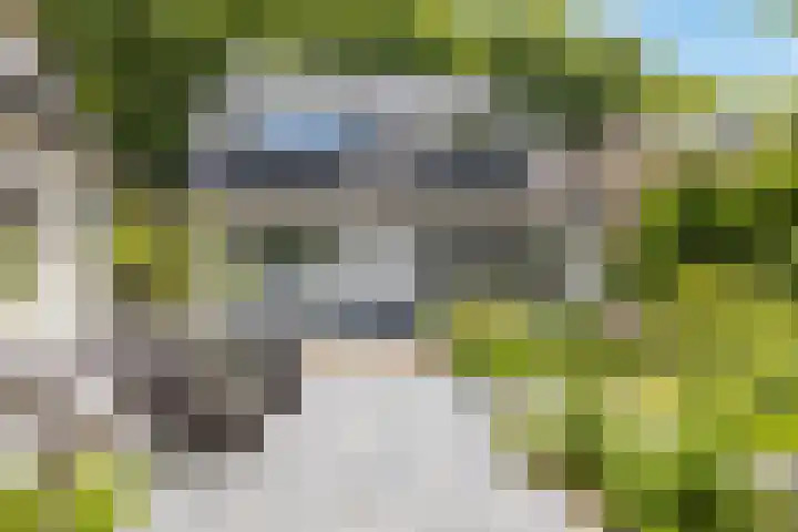 Wildhage 16 Teteringen thumbnail 5