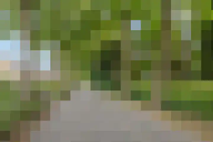 Wildhage 16 Teteringen thumbnail 50