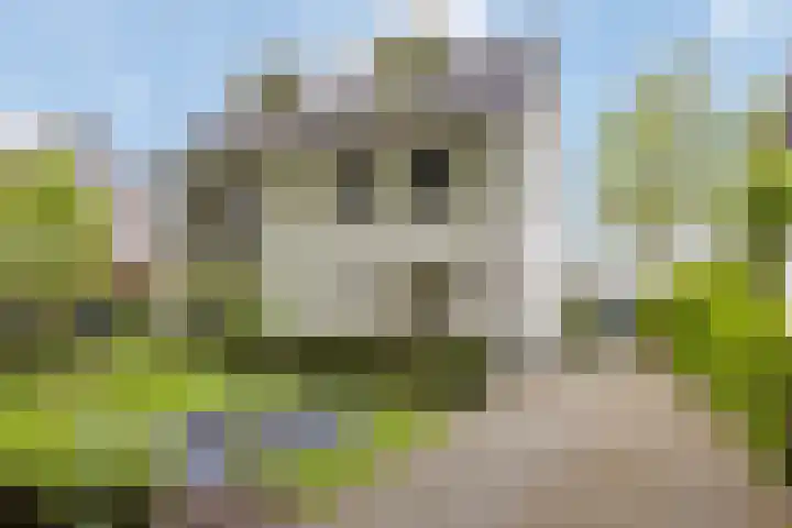 Wildhage 16 Teteringen thumbnail 58