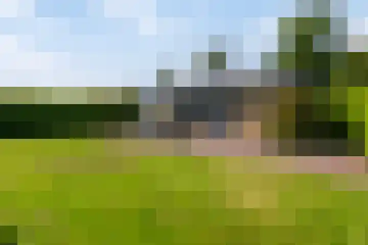 Wildhoek 4 Renesse thumbnail 13