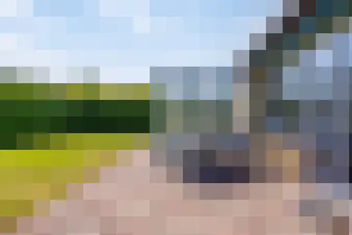 Wildhoek 4 Renesse thumbnail 14
