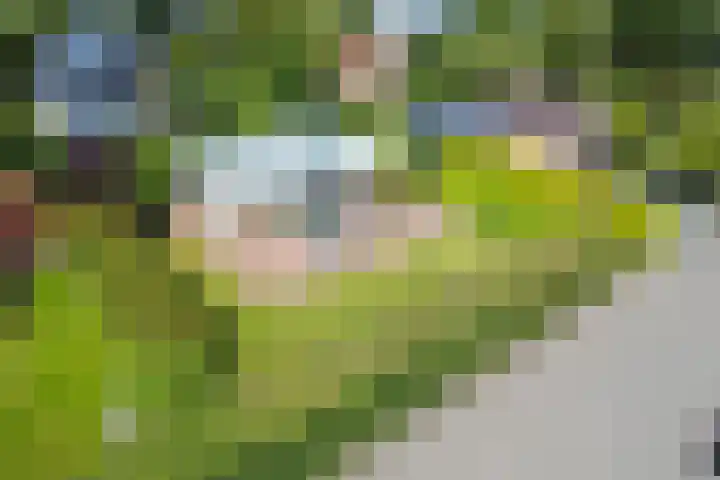 Wildhoek 4 Renesse thumbnail 21