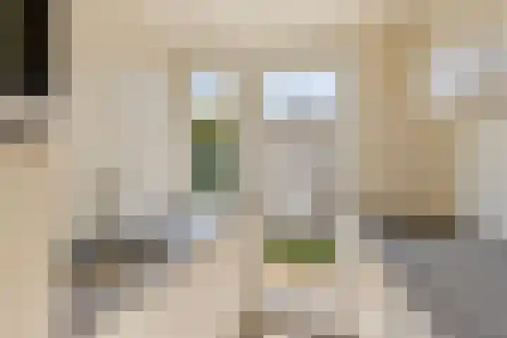 Wildhoek 4 Renesse thumbnail 7