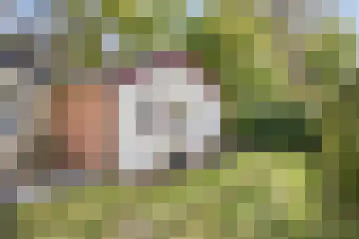 Wildweg 69 Holten thumbnail 21