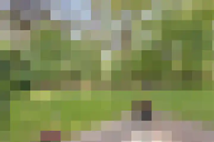 Wildweg 69 Holten thumbnail 25