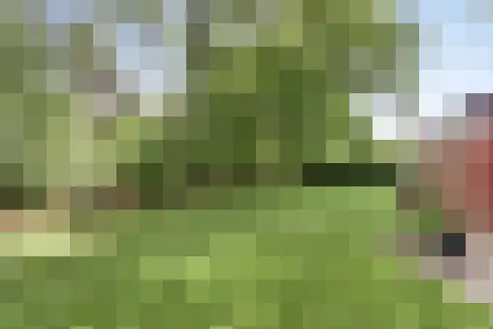 Wildweg 69 Holten thumbnail 27