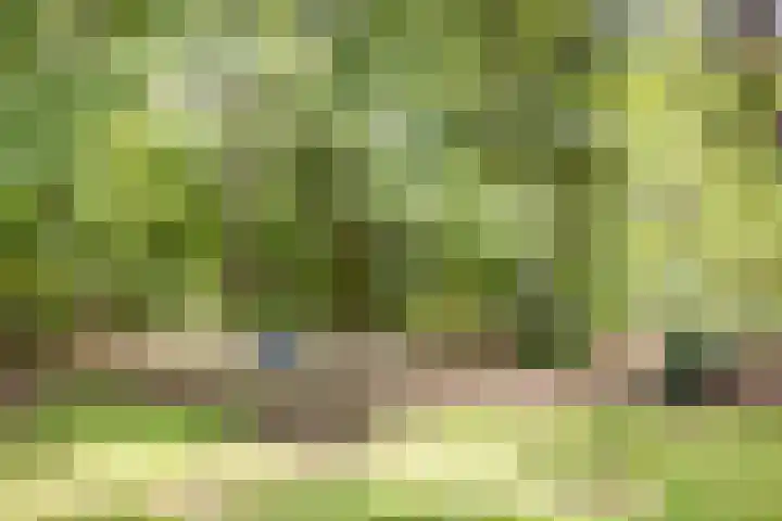 Wildweg 69 Holten thumbnail 30