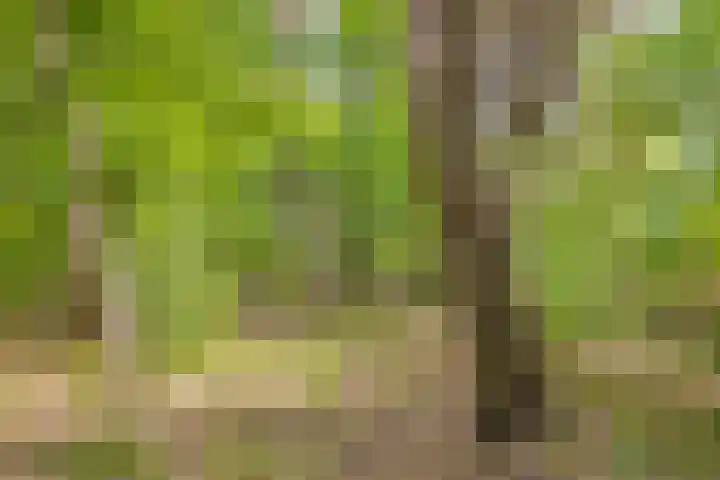 Wildweg 69 Holten thumbnail 31