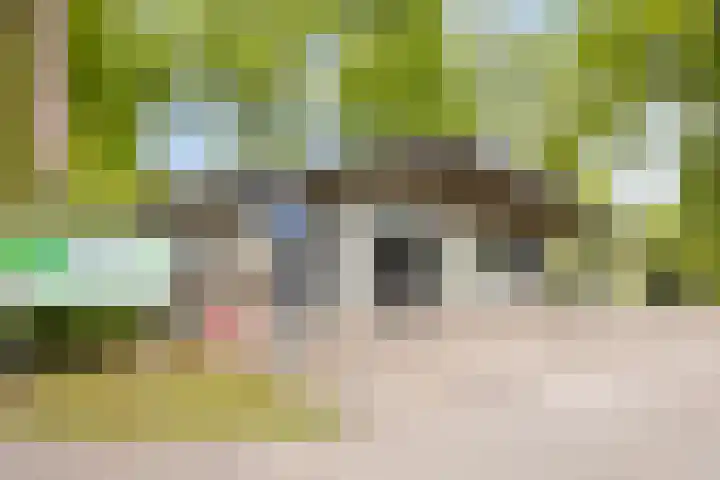 Wildweg 69 Holten thumbnail 33