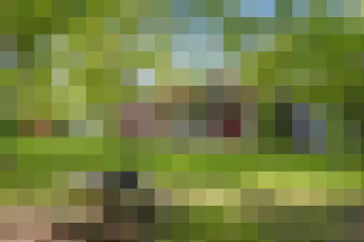 Wildweg 69 Holten thumbnail 37