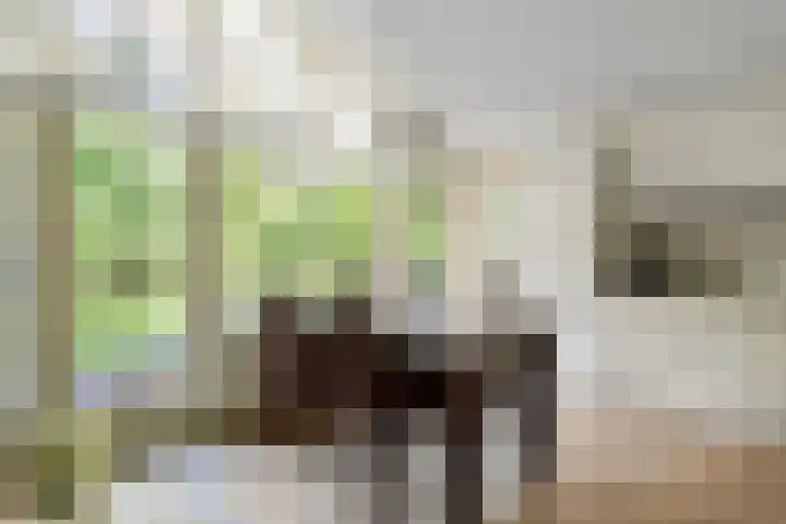 Wildweg 69 Holten thumbnail 7
