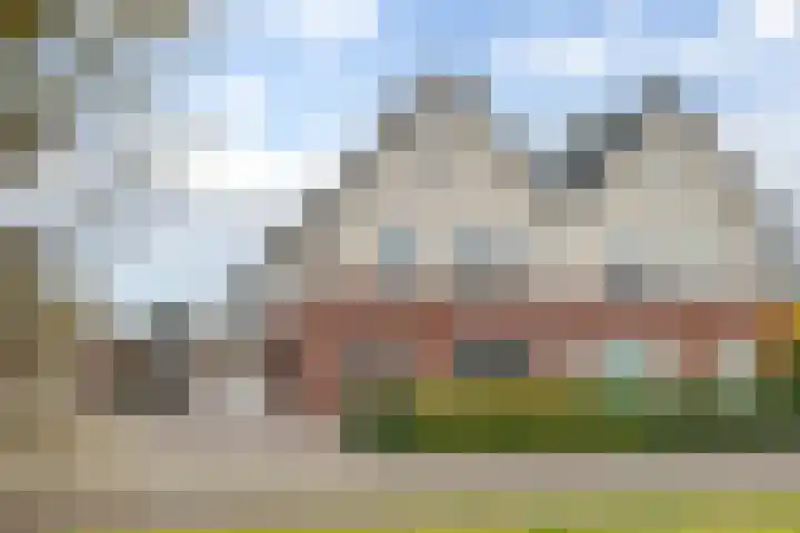Wilg 11 Leek