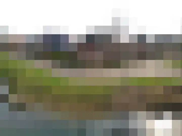 Wilg 2 Leek