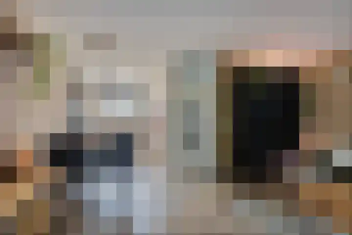 Wilgenbeemd 40 Assen thumbnail 11