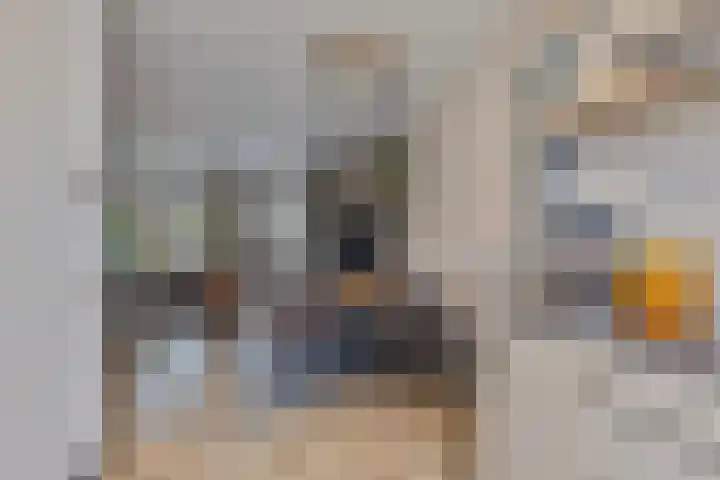Wilgenbeemd 40 Assen thumbnail 14