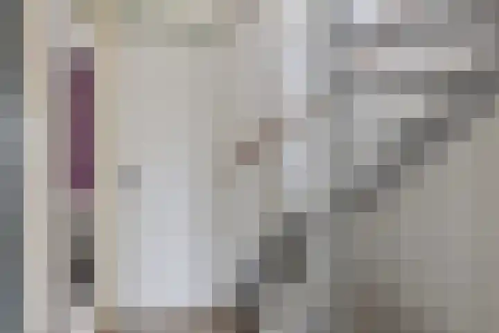 Wilgenbeemd 40 Assen thumbnail 16
