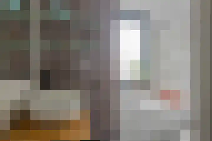 Wilgenbeemd 40 Assen thumbnail 17
