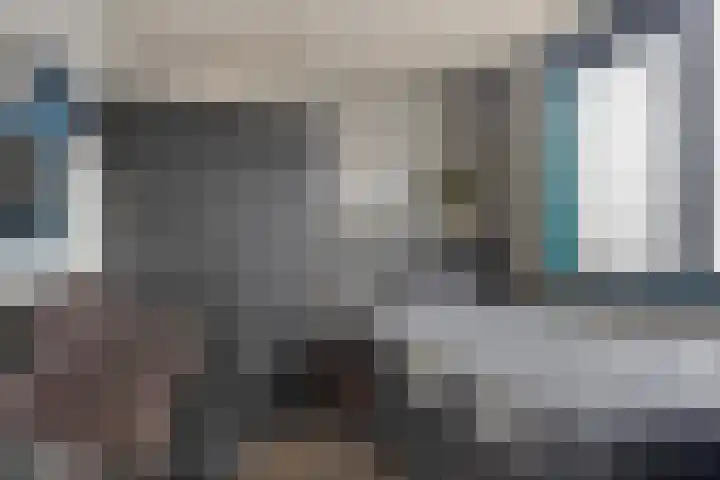 Wilgenbeemd 40 Assen thumbnail 21