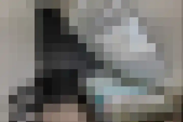 Wilgenbeemd 40 Assen thumbnail 24