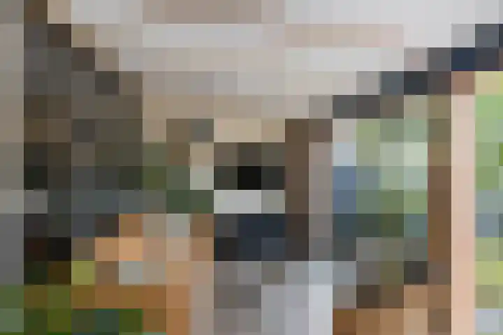 Wilgenbeemd 40 Assen thumbnail 26