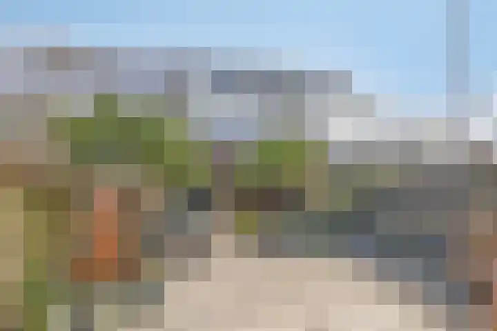 Wilgenbeemd 40 Assen thumbnail 31
