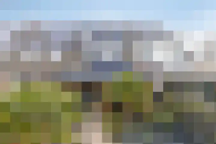 Wilgenbeemd 40 Assen thumbnail 32