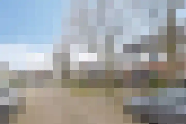 Wilgenbeemd 40 Assen thumbnail 33