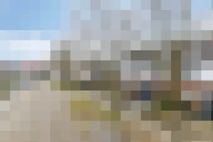 Wilgenbeemd 40 Assen thumbnail 34