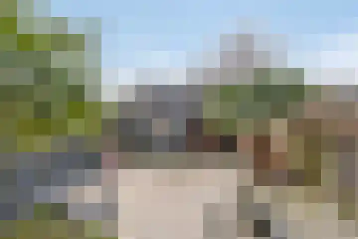 Wilgenbeemd 40 Assen thumbnail 4