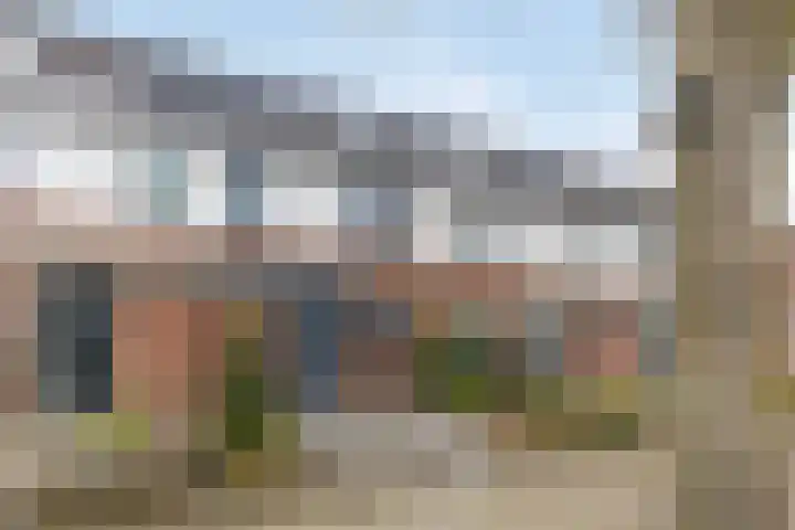 Wilgenbeemd 40 Assen thumbnail 6