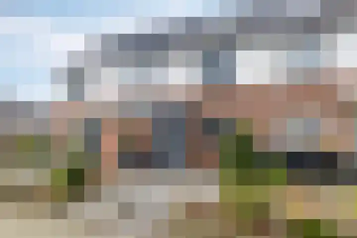 Wilgenbeemd 40 Assen thumbnail 7