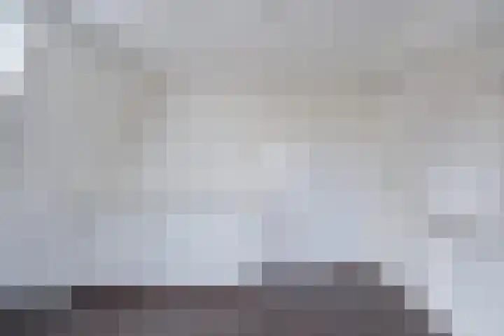 Wilgengriend 9 Almere thumbnail 27