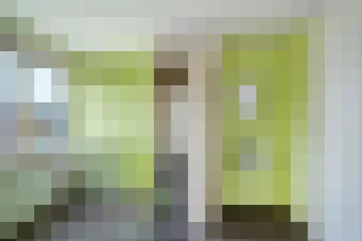 Wilgengriend 9 Almere thumbnail 30