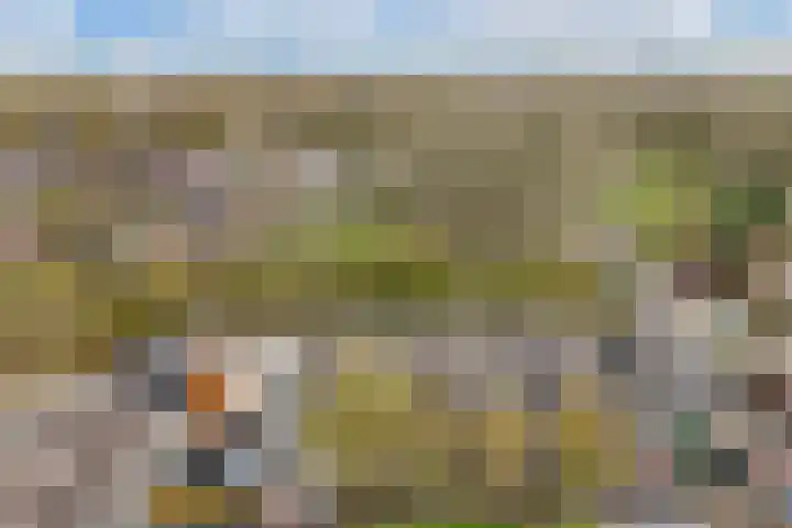 Wilgengriend 9 Almere thumbnail 43