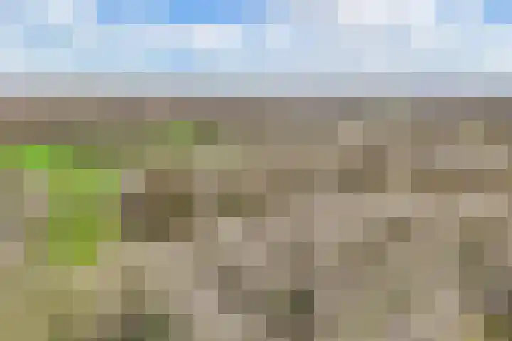 Wilgengriend 9 Almere thumbnail 45