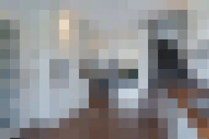 Wilgengriend 9 Almere thumbnail 5