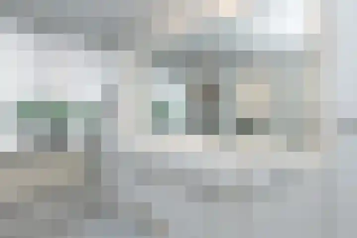 Wilgenhof 12 Hattem thumbnail 22