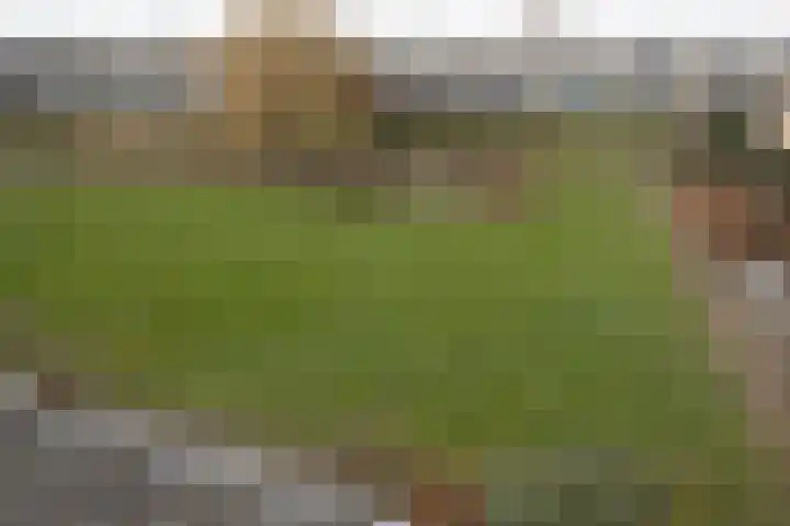 Wilgenhof 12 Hattem thumbnail 31