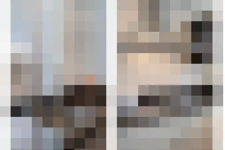Wilgenhof 20 Deurne thumbnail 13