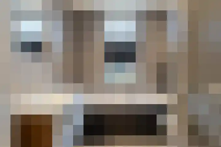 Wilgenhof 20 Deurne thumbnail 19