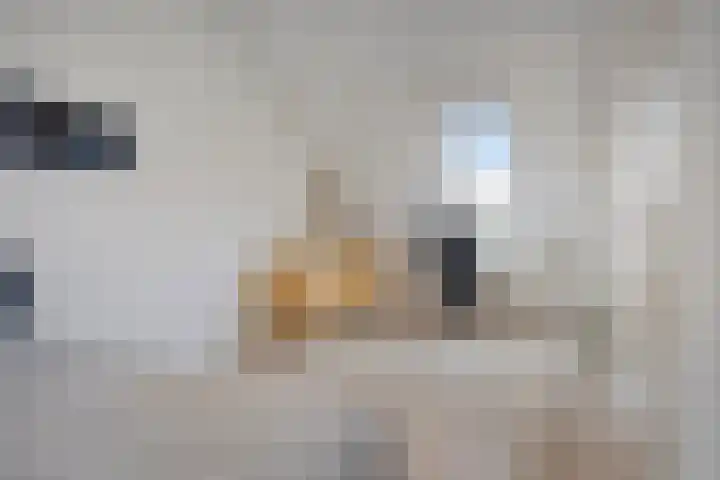 Wilgenhof 20 Deurne thumbnail 23
