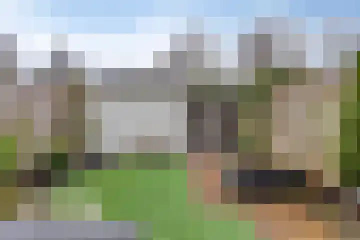 Wilgenhof 20 Deurne thumbnail 26