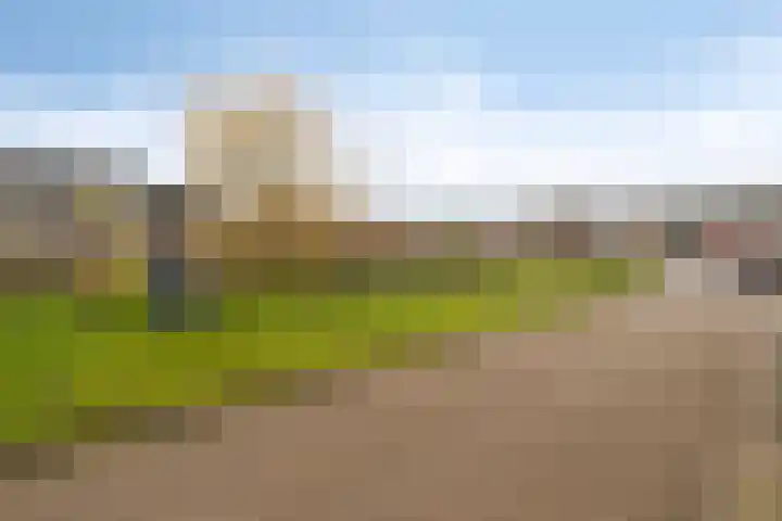 Wilgenhof 20 Deurne thumbnail 32