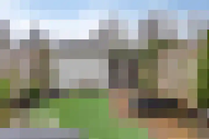 Wilgenhof 20 Deurne thumbnail 4