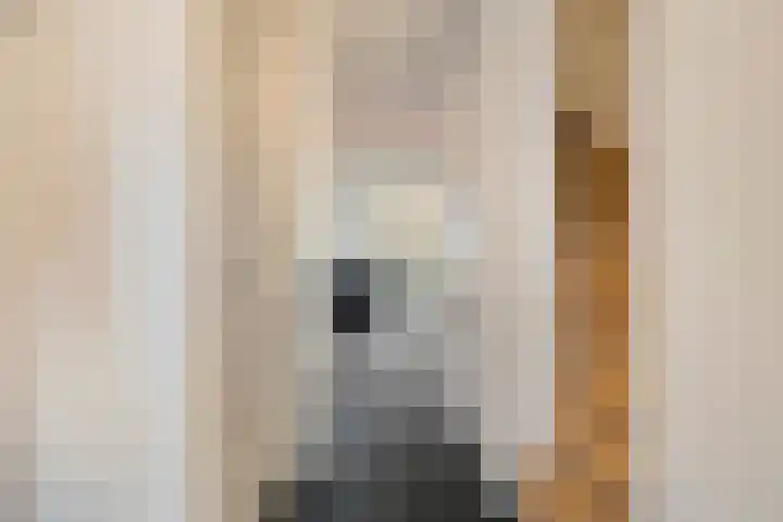 Wilgenhof 20 Deurne thumbnail 6