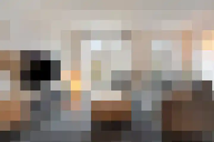 Wilgenhof 20 Deurne thumbnail 8